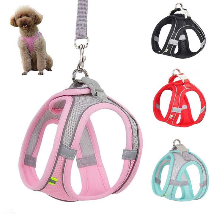 Dog Harness Leash Set for Small Dogs Gadget Gear Central